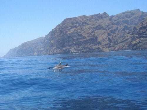 El Paraiso En Los Gigantes Santiago del Teide Dış mekan fotoğraf