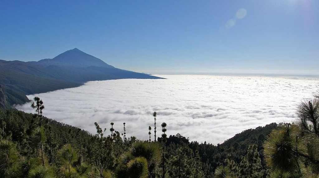 El Paraiso En Los Gigantes Santiago del Teide Dış mekan fotoğraf