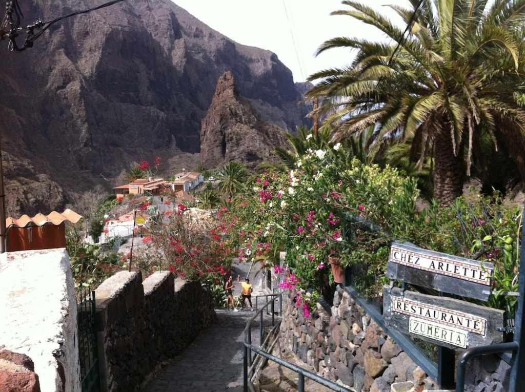El Paraiso En Los Gigantes Santiago del Teide Dış mekan fotoğraf