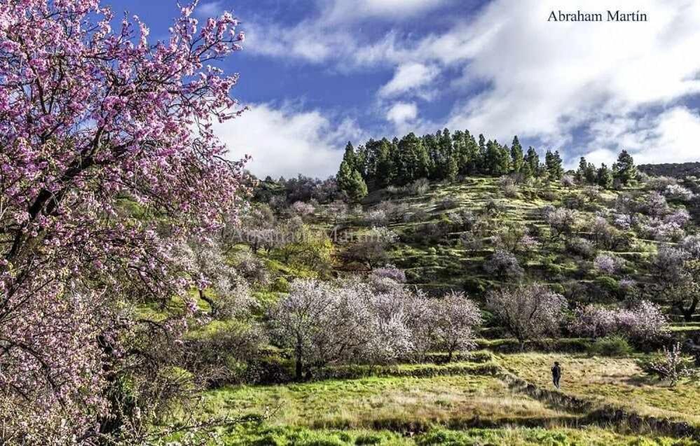 El Paraiso En Los Gigantes Santiago del Teide Dış mekan fotoğraf
