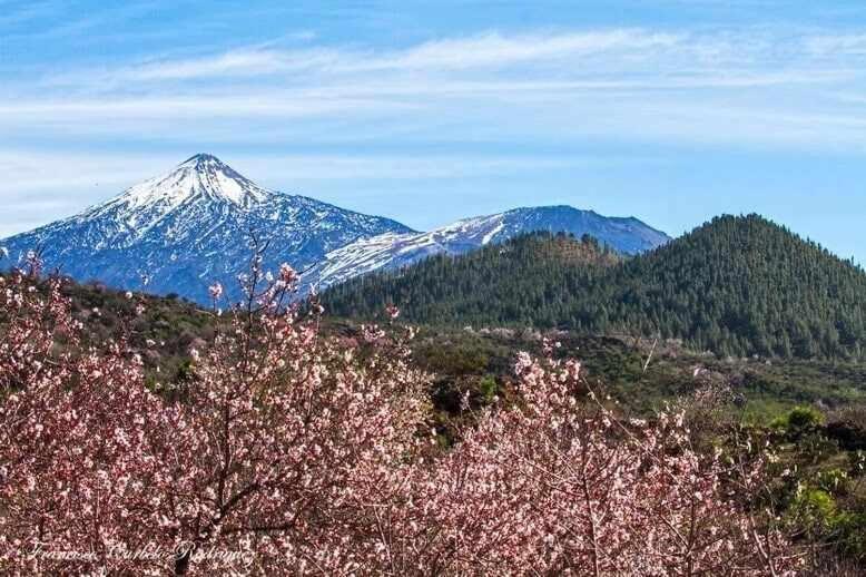 El Paraiso En Los Gigantes Santiago del Teide Dış mekan fotoğraf